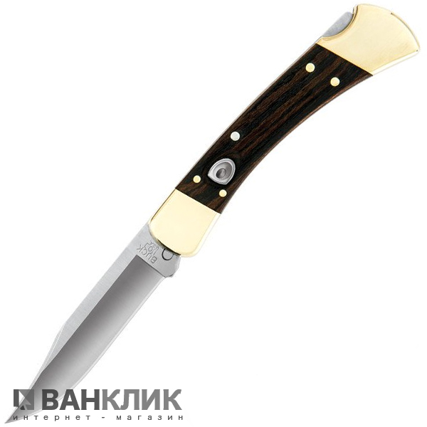 Нож Buck Folding Hunter Auto 110BRSA купить в Киеве, Украине Цена