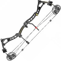 Лук блочный Poe Lang Axis 30-70 LBS черный C0-039B