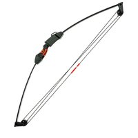 Лук блочный Poe Lang Chameleon Yourth Compound 10 LBS (CO-017B)