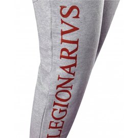 Спортивные штаны Leone Legionarivs Fleece Grey 2XL (1634_500064), Размер: 2XL, изображение 4