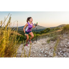 Палки для скандинавской ходьбы Vipole Trail DLX (S18 67) 925369, изображение 5