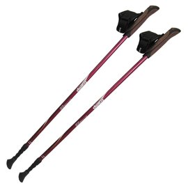Палки для скандинавской ходьбы Tramp Fitness пара TRR-011, изображение 4
