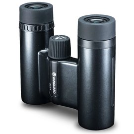 Бинокль Vanguard Vesta Compact 8x21 WP Black Pearl (DAS301032), изображение 3