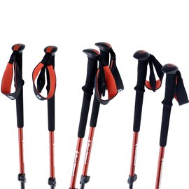 Треккинговые палки Black Diamond Trail Picante (BD 112507.6006), изображение 4