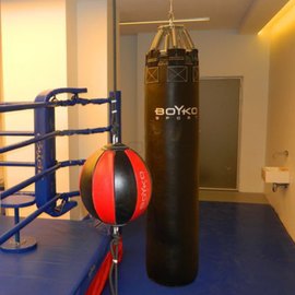 Боксерский мешок BoYko BS цилиндрический, кожа, 180х40 см на 8 пружинах L22 (bs0411402306), изображение 2