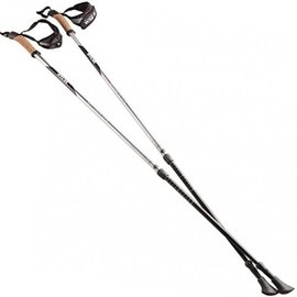 Палки для скандинавской ходьбы Silva EX-Pole Alu Adjustable, Grey (SLV 56065-000)