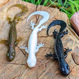 Силикон Savage Gear 3D Lizard 100m 5.5g Albino Flash (6 шт/уп) 77468, изображение 2