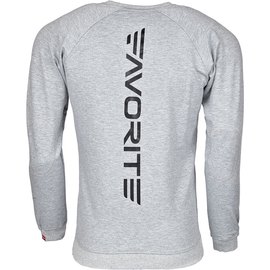 Реглан Favorite FR002GR S ц:grey (1693.20.77), изображение 2