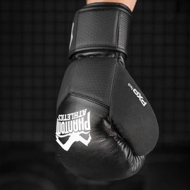 Боксерские перчатки Phantom RIOT Pro Black 16 унций (PHBG2540-16), Вес: 16 унций, изображение 6