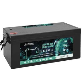 Акумуляторна батарея EverExceed 25.6V 100Ah LDP 24-100