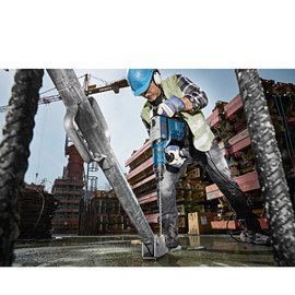 Перфоратор Bosch Professional GBH 8-45 D (0611265100), зображення 5