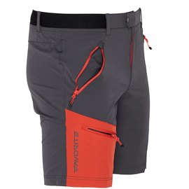 Шорты Favorite Track Shorts 2XL Антрацит (1693.54.86), Размер : XXL, изображение 5