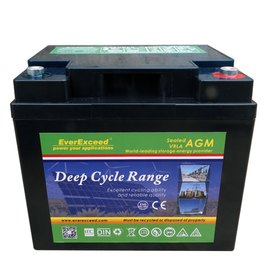 Акумуляторна батарея EverExceed 6V 220Ah DP 6-220