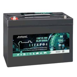 Акумуляторна батарея  EverExceed 12.8V 100Ah LDP 12-100 c Bluetooth