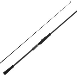 Спиннинг Favorite Black Swan BSWTS1-982H 2.94m 16-56g Fast (1693.08.64)