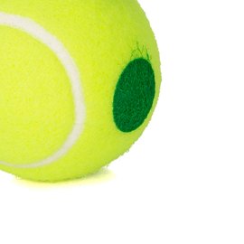 Мяч для большого тенниса Tecnifibre Stage1 1 шт/уп (Stage1-1)