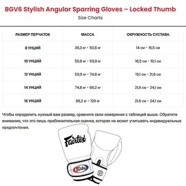 Боксерські рукавички Fairtex BGV6 Black 14 ун (BGV6_14oz_Black), Вага: 14 унцій, зображення 6