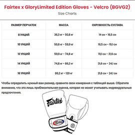 Боксерські рукавички Fairtex BGVG2 Velcro Black 12 ун (BGVG2_Velcro_12oz_Black), Вага: 12 унцій, зображення 4