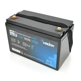 Акумуляторна батарея Merlion LiFePO4 12.8V 100Ah 5000 циклів (LFP12-100US)