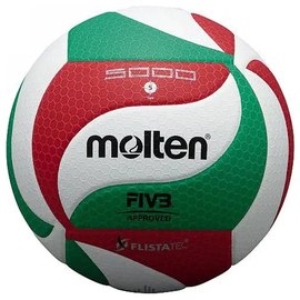 Мяч волейбольный Molten V5M5000
