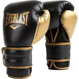 Боксерские перчатки Everlast PowerLock 2R Training Gloves черный/золотой 16 унц (P00002665)