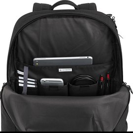 Рюкзак Victorinox Almont Deluxe Laptop Classic Black 21л (Vt605316), Цвет: Чёрный, изображение 3