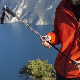 Треккинговые палки Vipole Base Camp QL EVA RH Dark Edition DLX S1810 925357, изображение 6