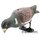 Подсадной голубь Hunting Birdland , имитация кормления, имитация окраски пера (78428)