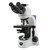 Микроскоп Optika B-383Ph 40x-1000x Trino Phase Contrast 927605