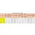 Термобелье Ranger Active Kids 128 (RA 88632), Рост: 128 см, изображение 9