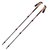 Треккинговые палки Black Diamond W Trail Cork Cherrywood (BD 1125272009ALL1)