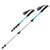 Трекінгові палиці Naturehike Men ST 01 6061 AL NH17D001-Z 2 шт синій (6927595720394), зображення 2