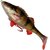 Силикон Savage Gear 4D Perch Shad SS 175mm 67.0g #01 Perch (поштучно) 61797, Цвет : Perch