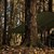 Тент Highlander Tarp Shelter HMTC (MA125-HC) 930530, изображение 2