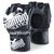 Перчатки для ММА Phantom Blackout Black L/XL (PHMMAG1648-LXL), Размер: L/XL