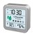 Метеостанція Technoline DirektWetter WD2000 Silver (WD2000) DAS302449