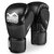Боксерские перчатки Phantom RIOT Pro Black 16 унций (PHBG2540-16), Вес: 16 унций