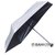 Зонт EUROSchirm Dainty black 1028-OBL/SU17739