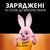 Акумуляторна батарея Duracell AAA 900 mAh 1x4 шт (6486619), зображення 5