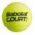 М'ячі для падел тенісу Babolat Court Padel 3 шт/уп (501098-113)