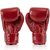 Боксерські рукавички Fairtex BGV1-ONE (натуральна шкіра) Red 10 ун (BGV1-ONE_10oz_Red), Вага: 10 унцій, Колір: Червоний, зображення 2