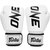 Боксерские перчатки Fairtex BGV1-ONE (натуральная кожа) White 10 ун (BGV1-ONE_10oz_White), Вес: 10 унций, Цвет: Белый, изображение 2