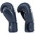 Боксерские перчатки Fairtex BGV27 Blue 16 ун (BGV27_16oz_Blue), Вес: 16 унций, Цвет: Синий, изображение 4