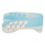 Капа для бокса Shock Doctor Gel Max Power Carbon (возраст 11+) Trans Blue (art. 6954-TB-AD), изображение 3