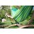 Гамак La siesta Brisa lime BRH16-48, Цвет: Зелёный, изображение 11