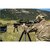 Прицел Nightforce ATACR 5-25x56 ZeroStop™ - 0.1 Mil-Radian - DigIllum™, Mil-XT с подсветкой (С616), изображение 5