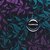 Чемодан CarryOn Oval Class (S) 927206, изображение 3