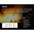 Фонарь ручной Fenix WF30RE, изображение 8