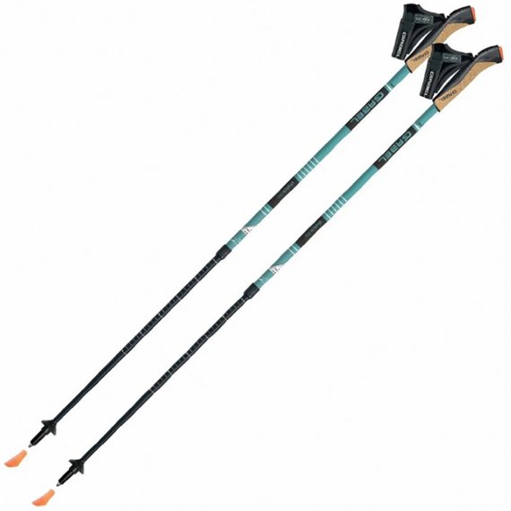 Палки для скандинавской ходьбы Gabel Stretch Lite Avio (7008352622000), Цвет: Зеленый