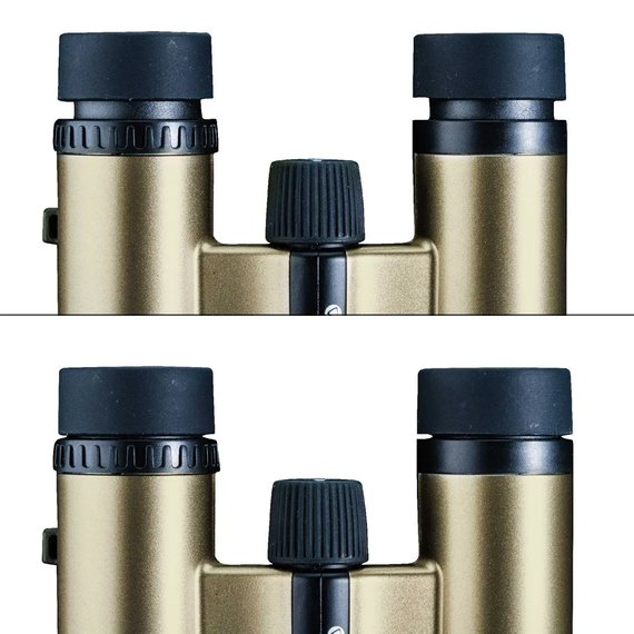 Бинокль Vanguard Vesta Compact 8x21 WP Champagne (DAS301036), изображение 14